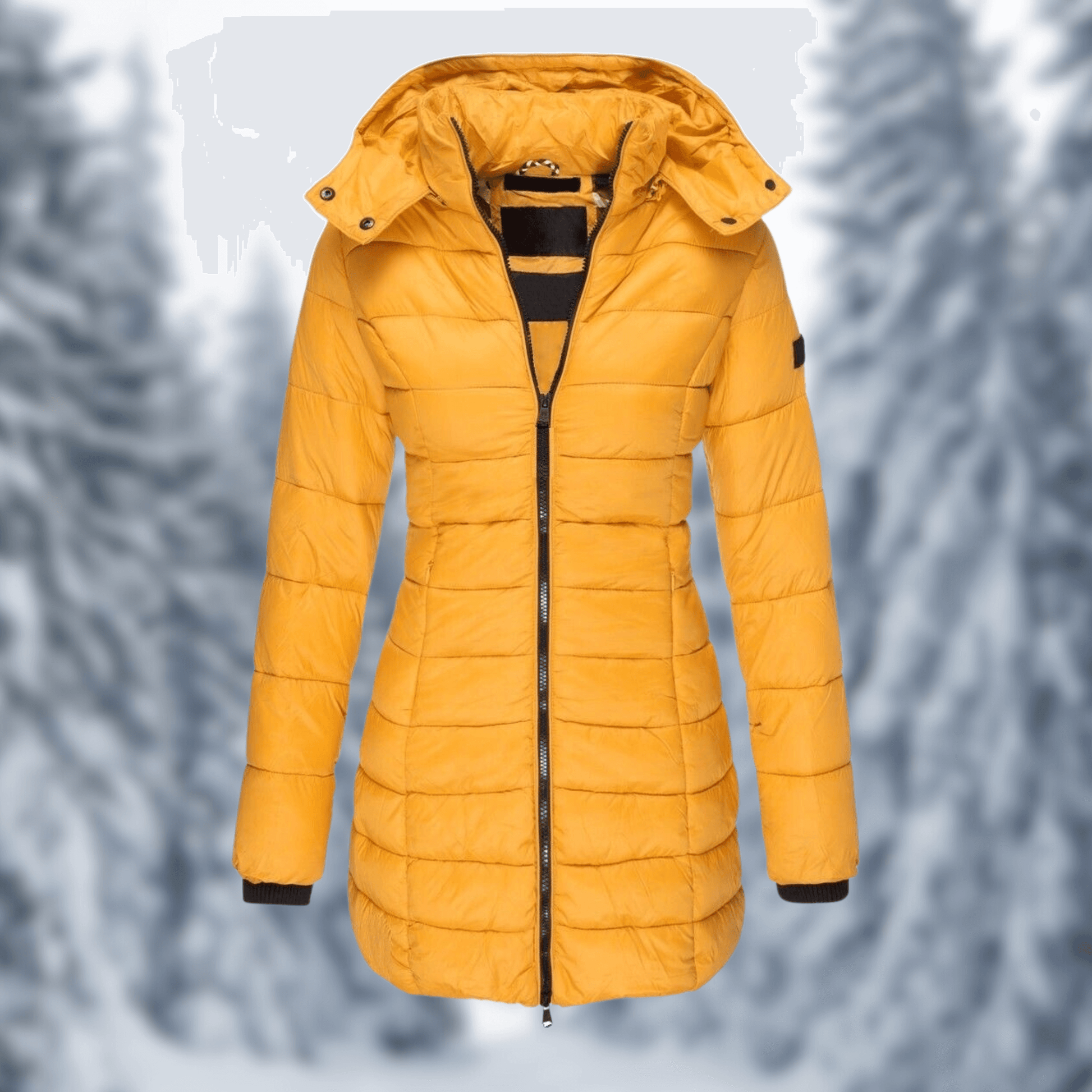 Women's Mid-Length Winter Coat with Detachable Hood